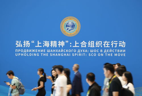 上合組織天津峰會 攜手共建繁榮發(fā)展共同家園，共走可持續(xù)發(fā)展之路